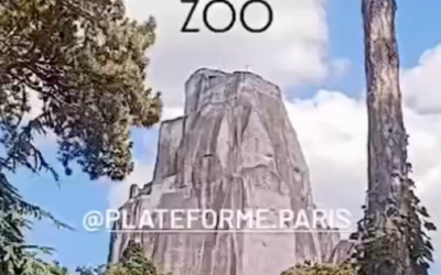 ZOO, Exposition à la galerie Plateforme / paris