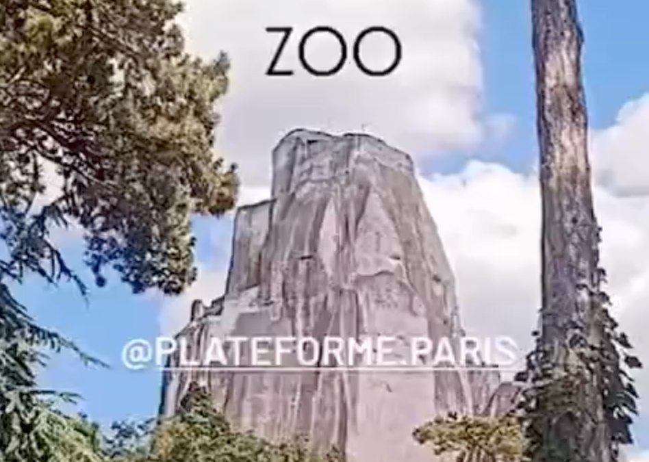 ZOO, Exposition à la galerie Plateforme / paris